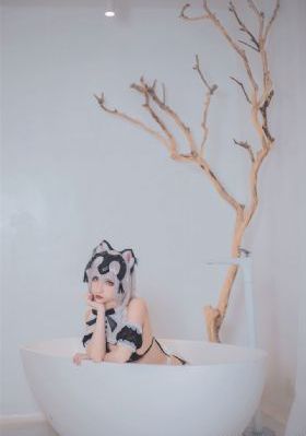 好搭档电视剧_720手机在线观看